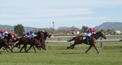racing horses